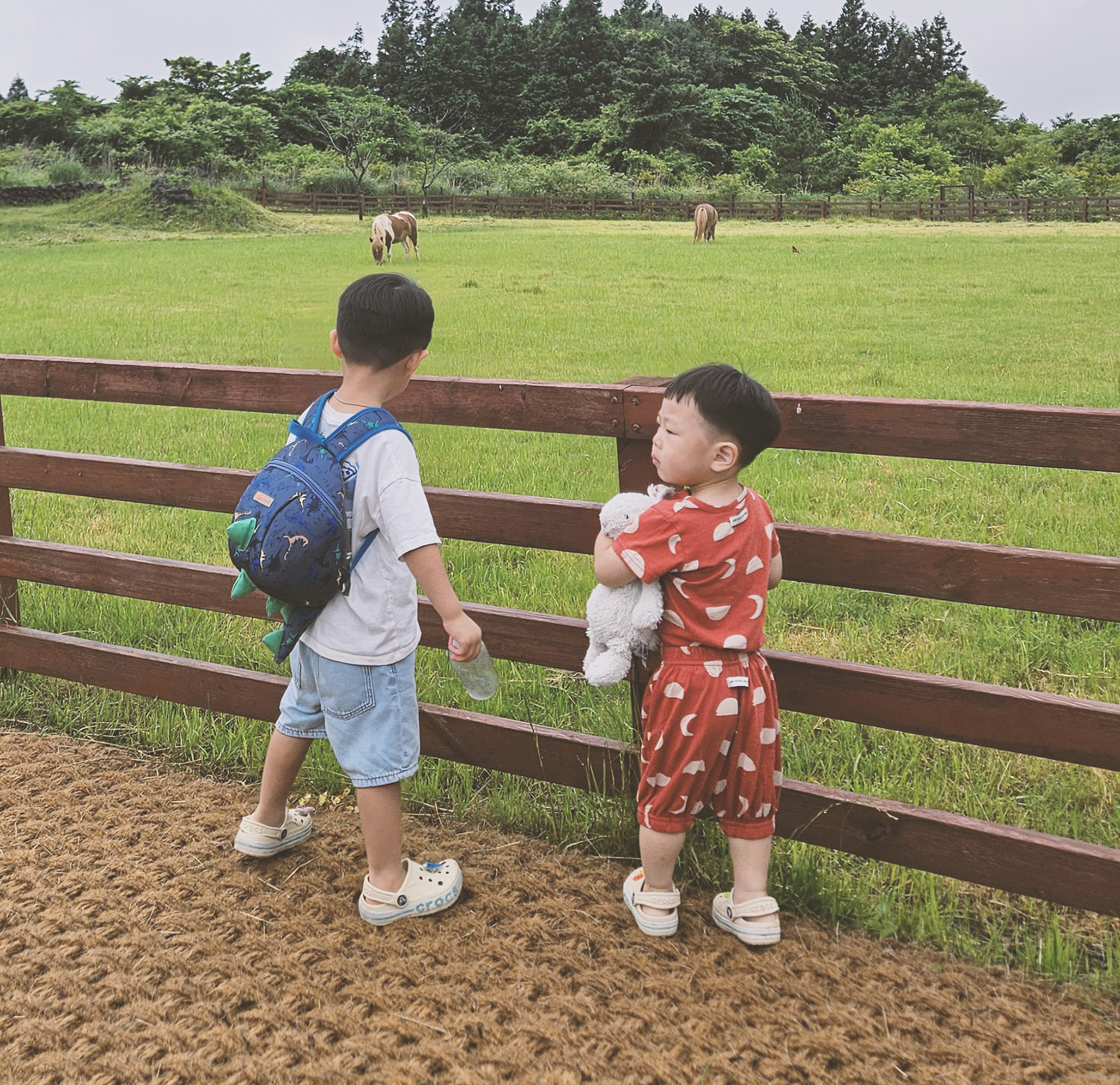 달달 셋업