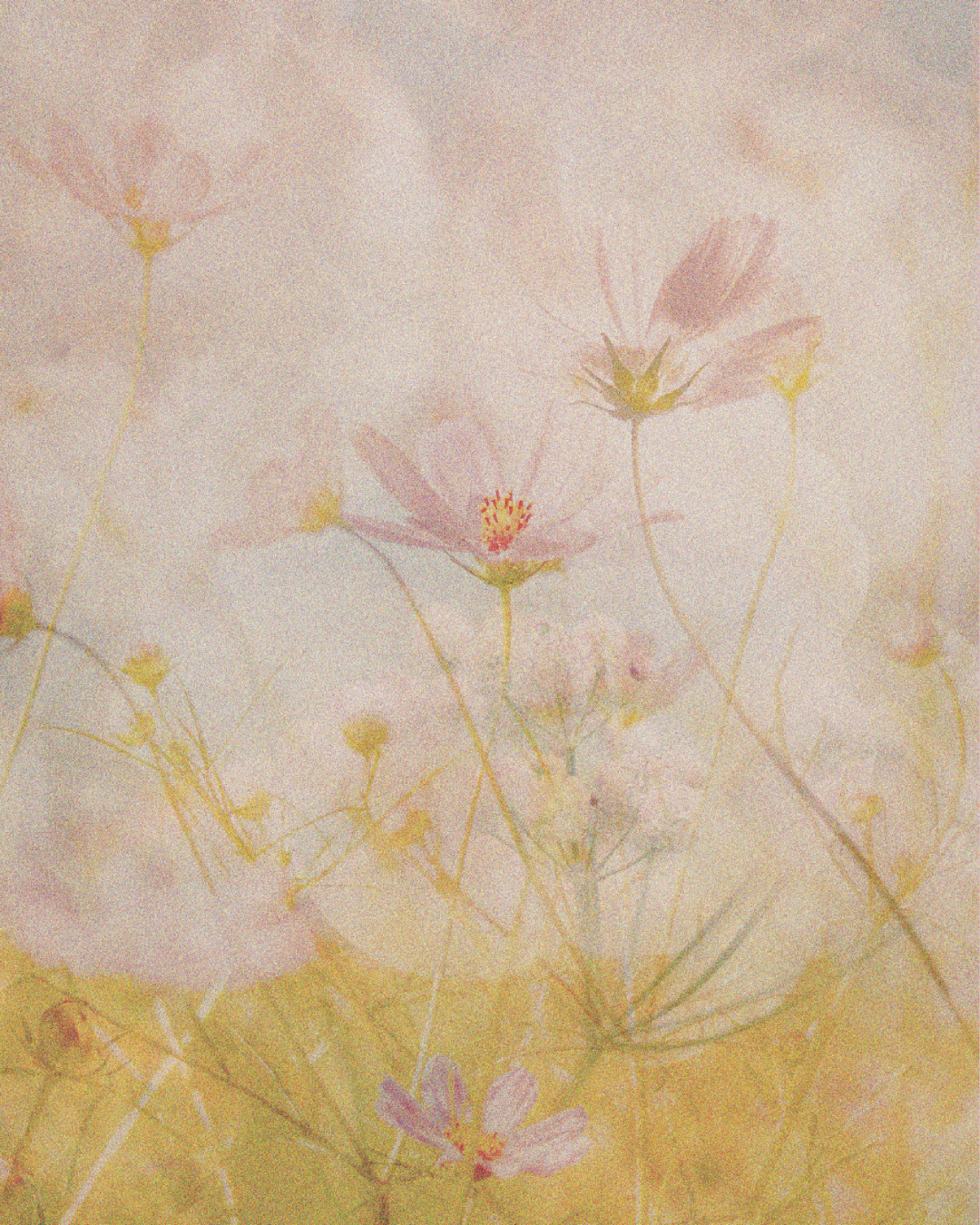 03_Bombe Natural_1200_1500.png