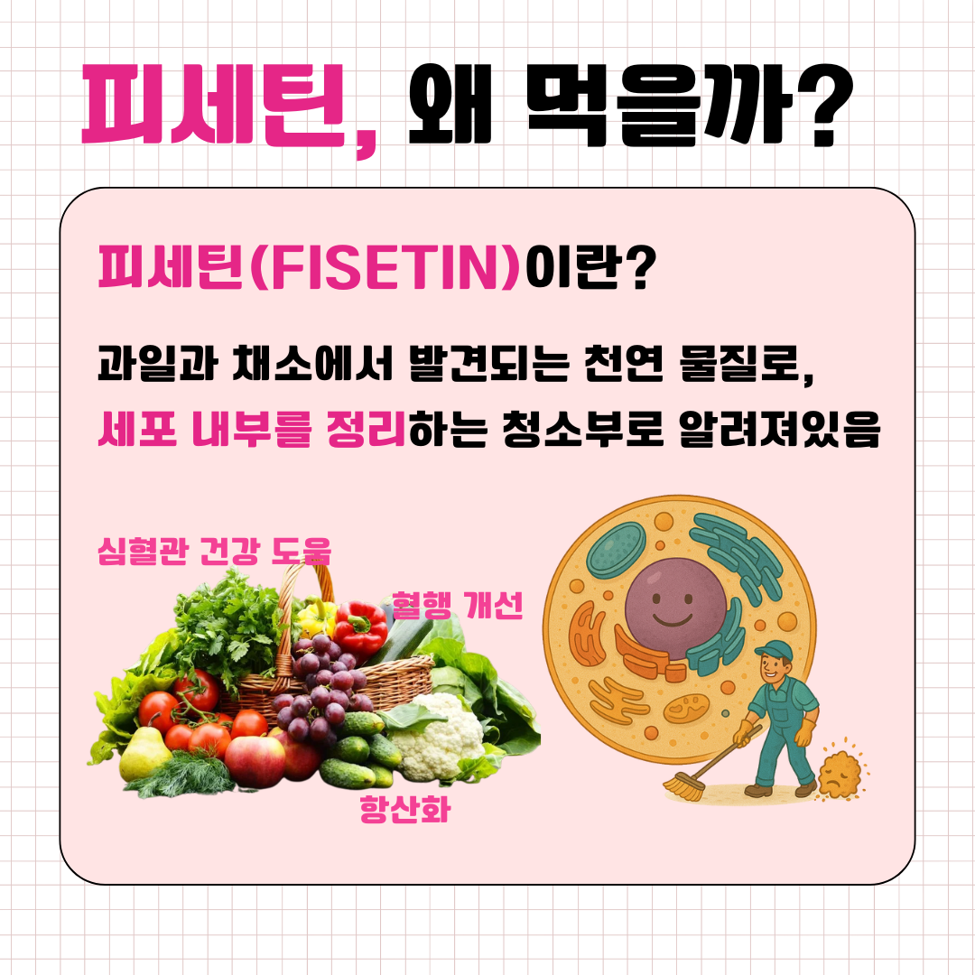 5cb5252442351.png
