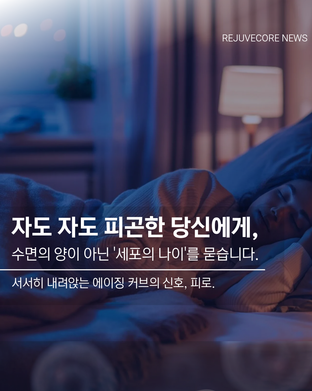 8075d23863ad1.png