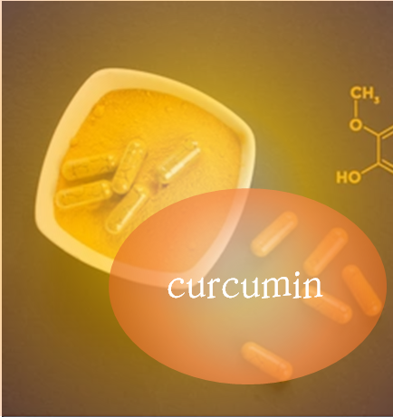 b5534d2c40d09.png