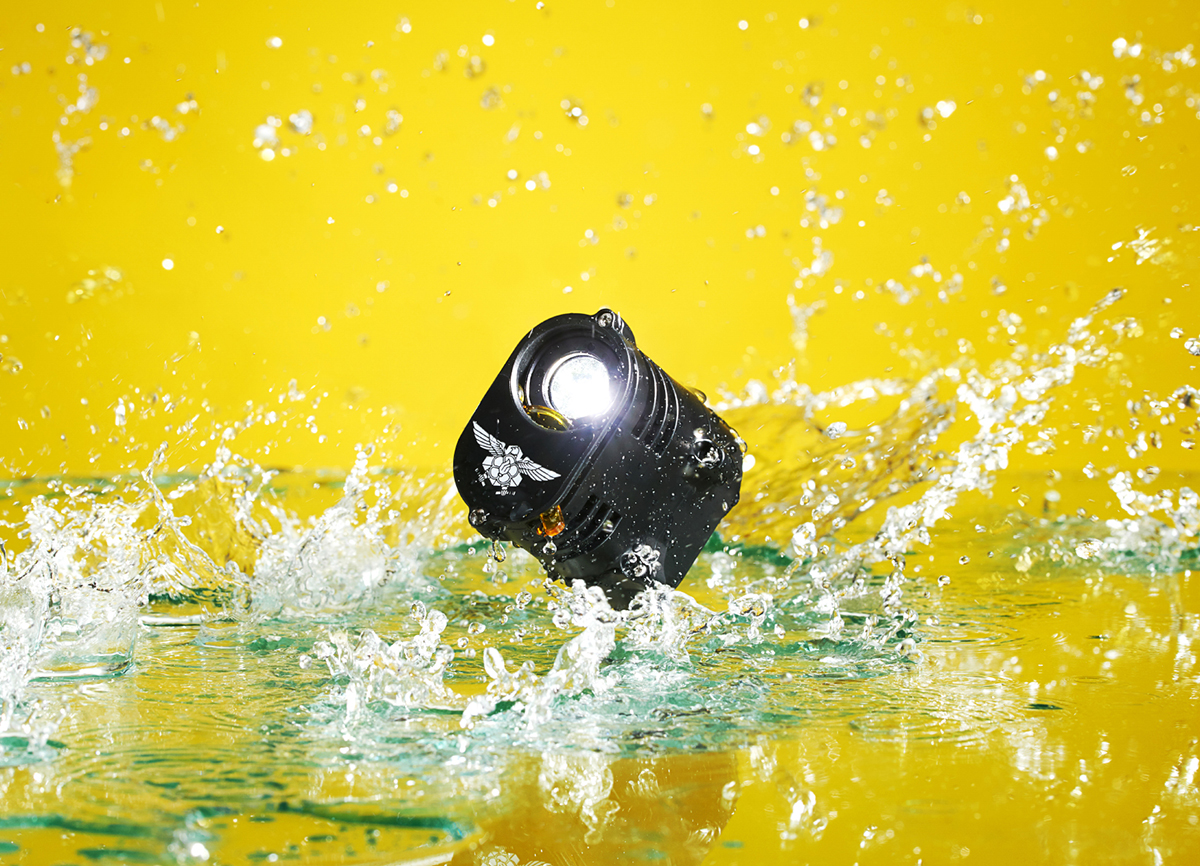 873a329e075c5.jpg