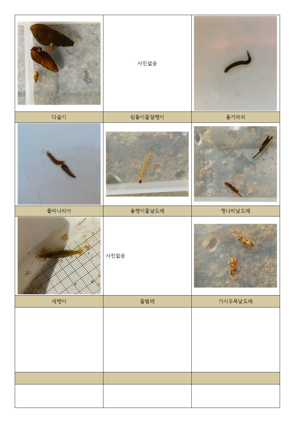 0caa8ef35231a.jpg