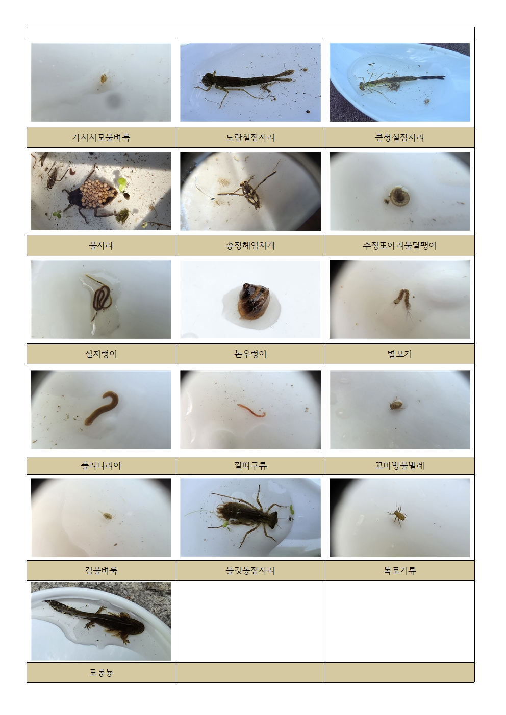 78a8850ff5d25.jpg