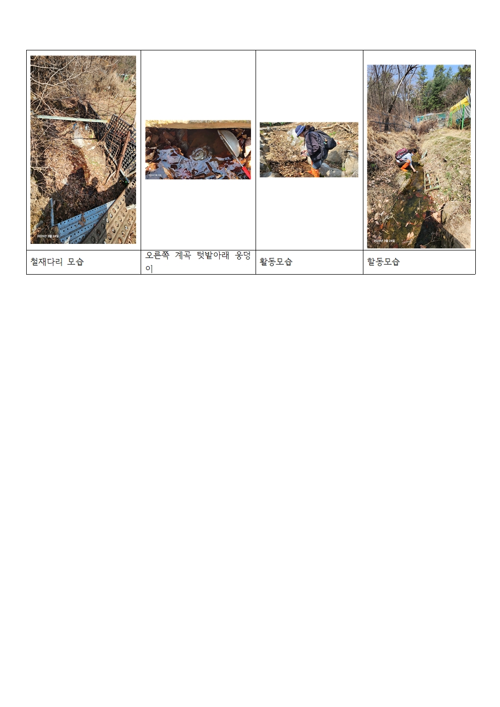 a65592fe4a718.jpg