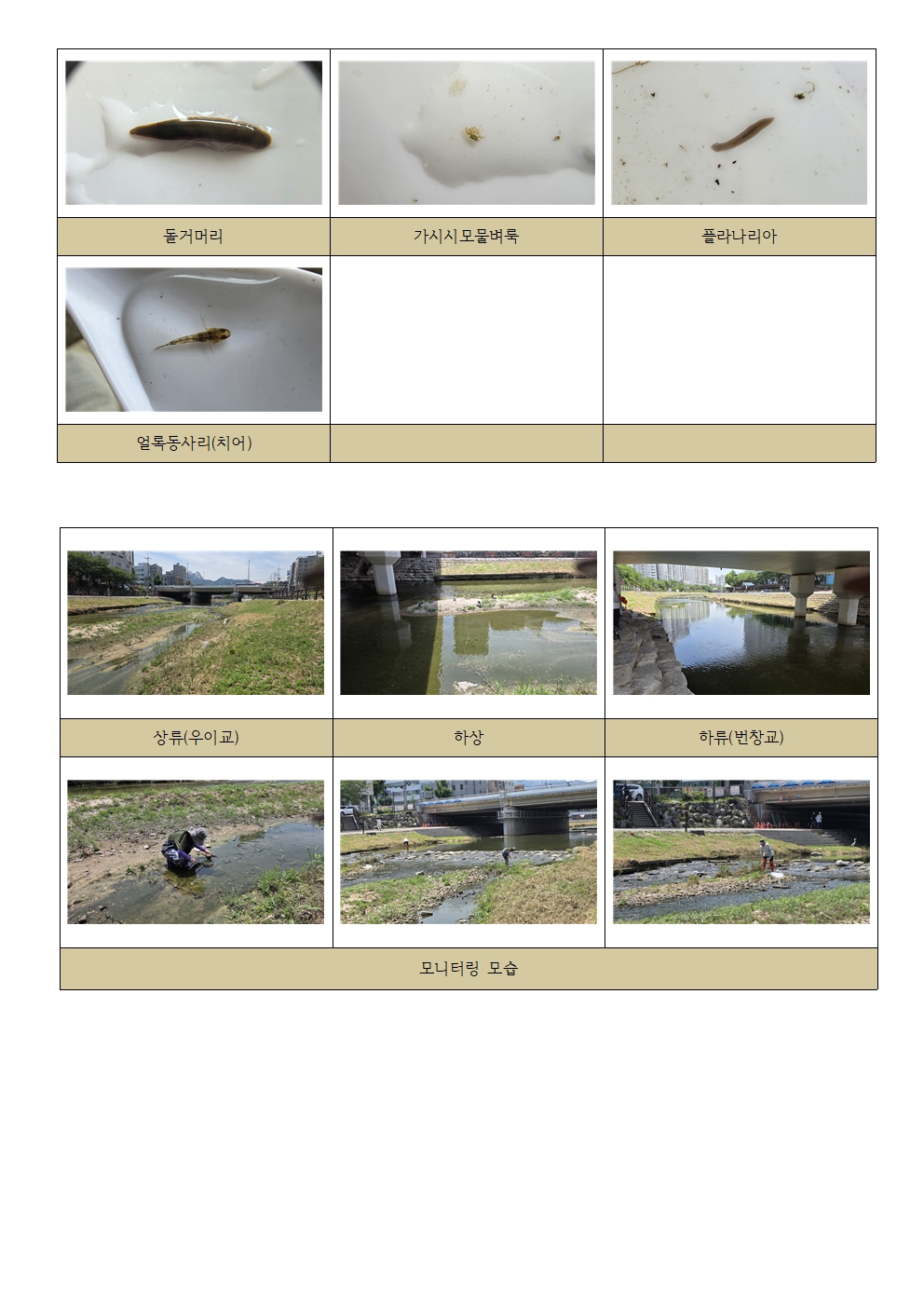 a9019101374c0.jpg