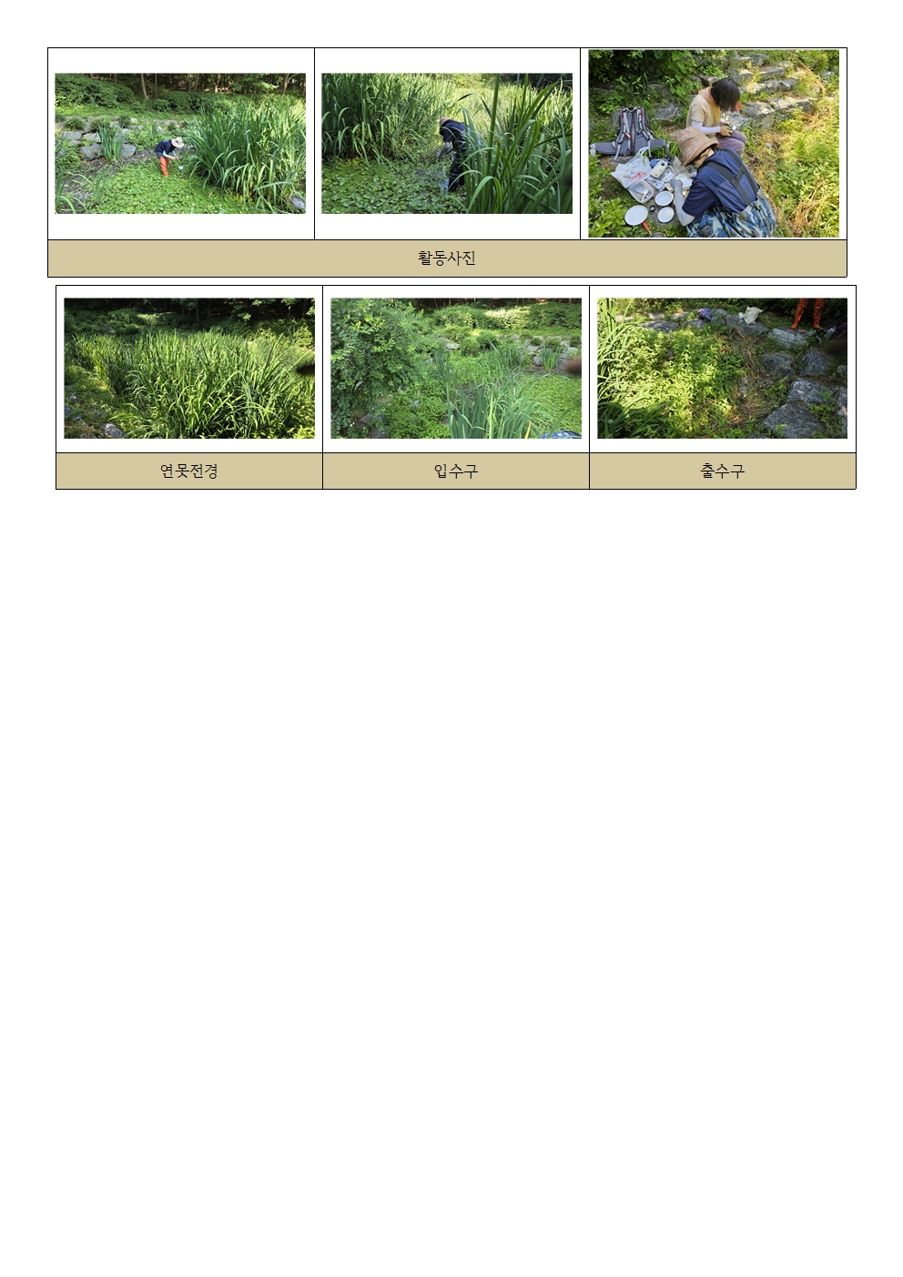c340835db7619.jpg