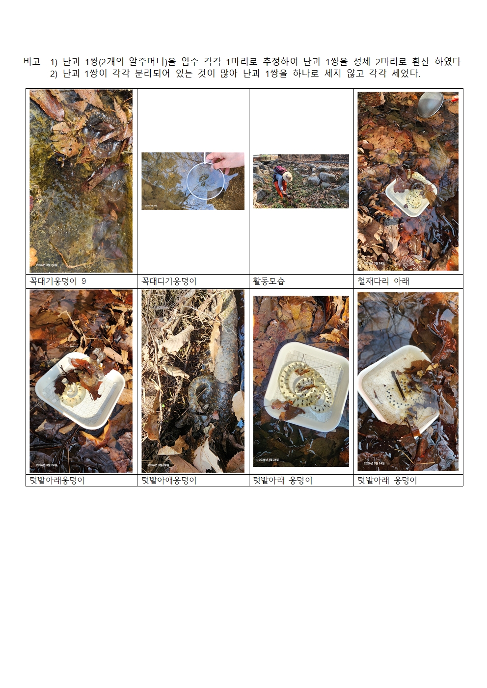 f83ab9c93a410.jpg