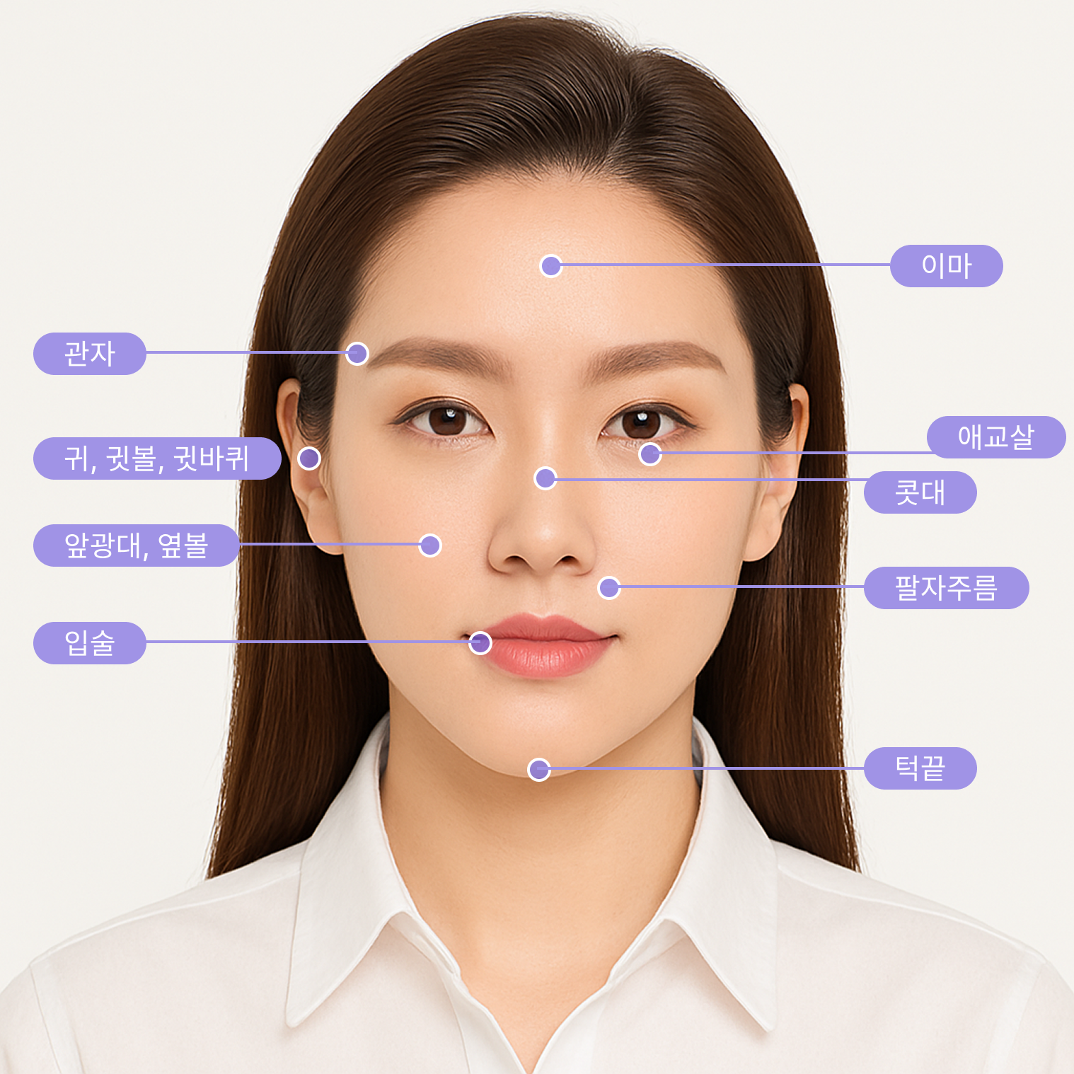 얼굴 필러 시술 부위