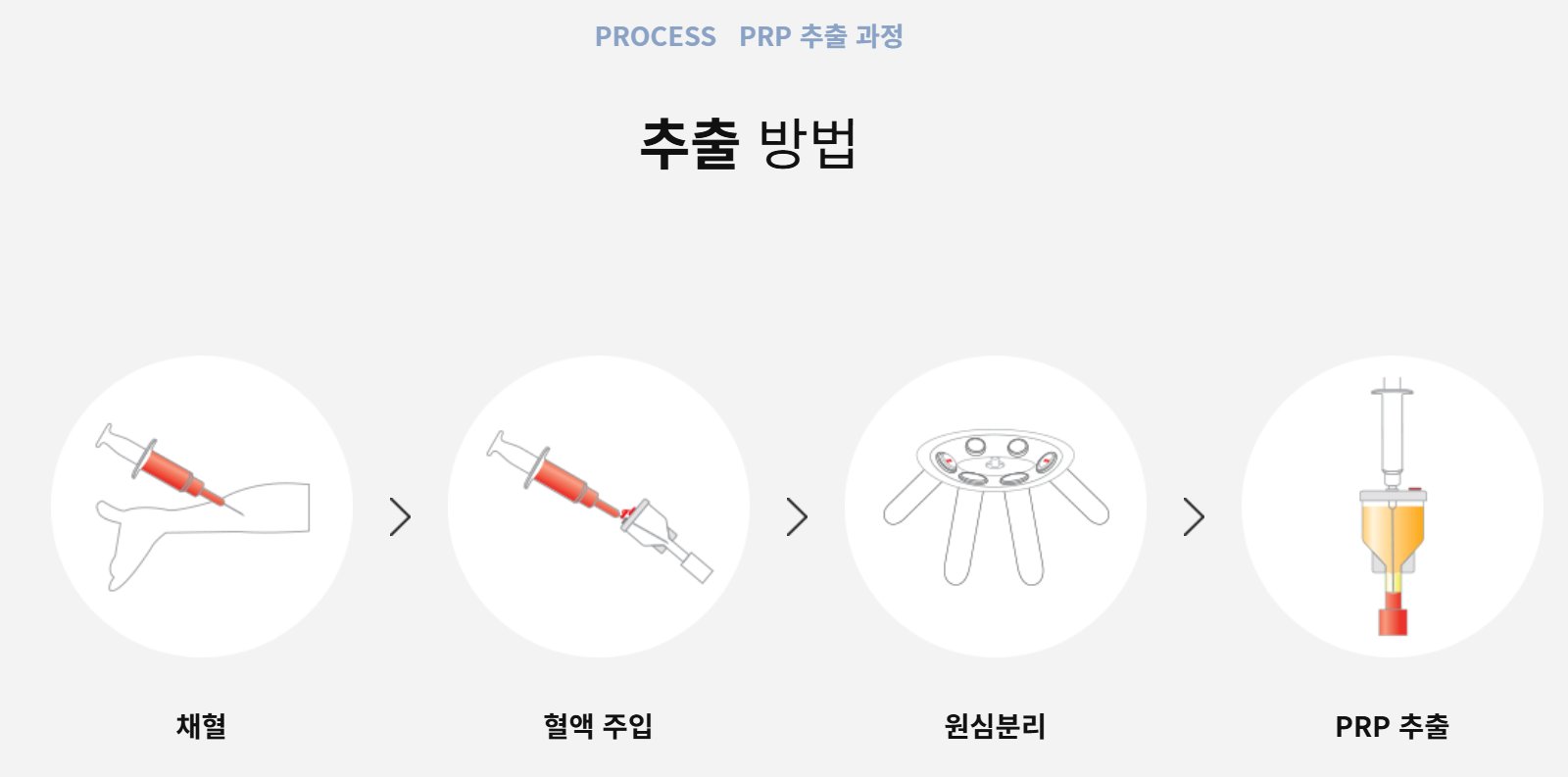 PRP 추출 과정