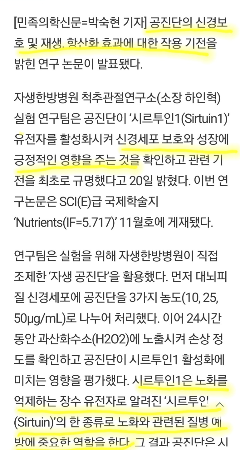 공진단 효과