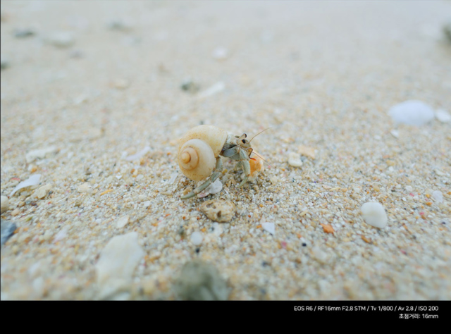 시계 상품상세 이미지-S1L23