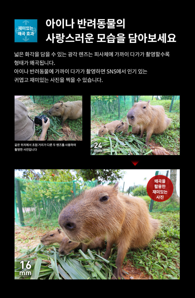 시계 상품상세 이미지-S1L5