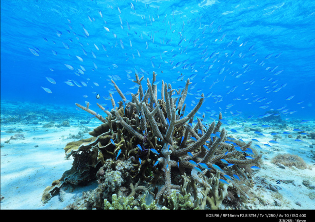 시계 상품상세 이미지-S1L25