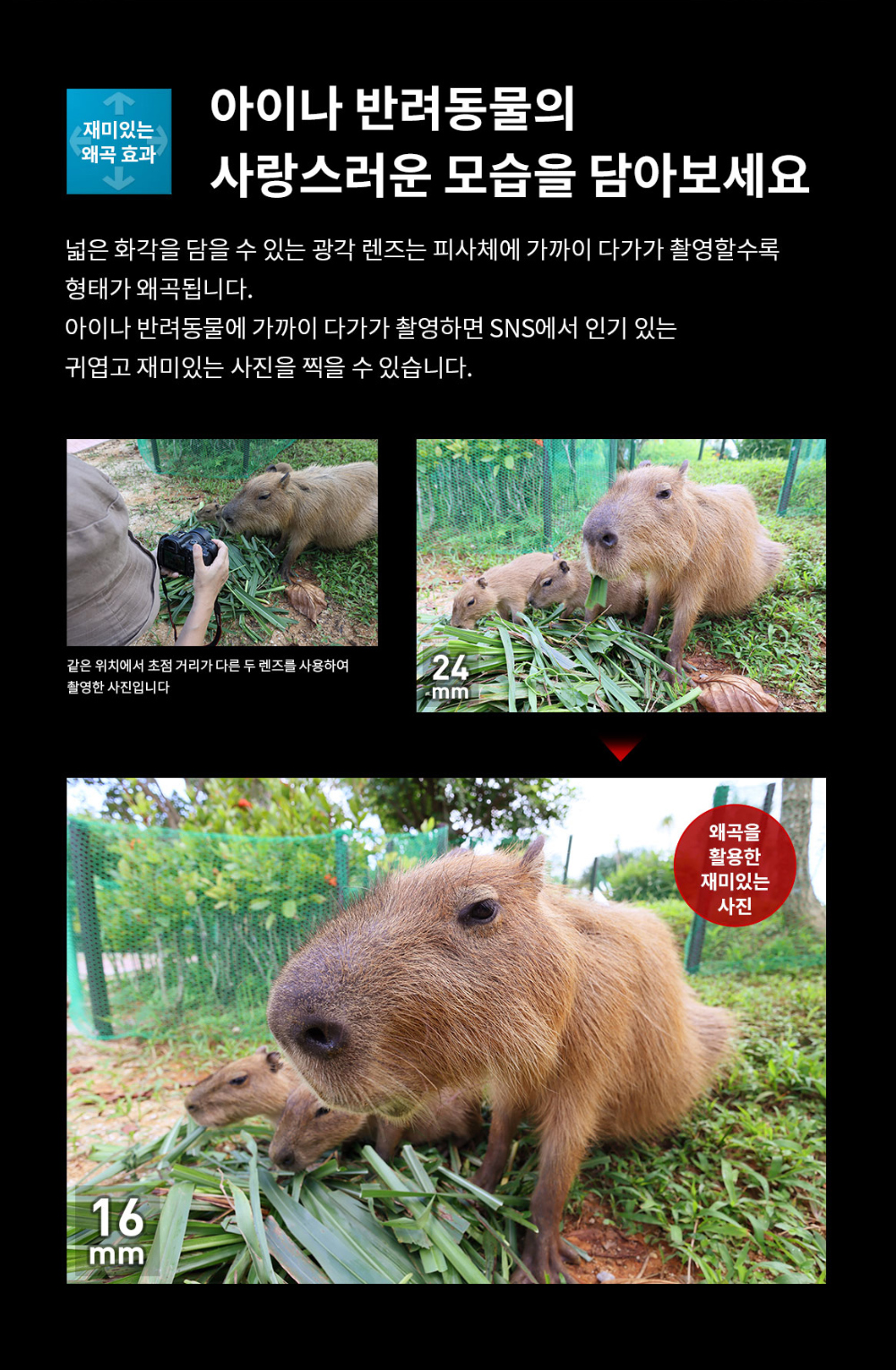 시계 상품상세 이미지-S1L5