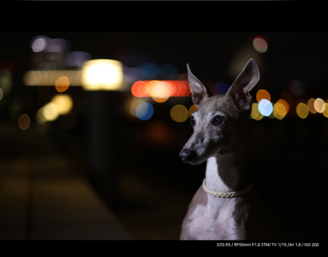 화장품 상품상세 이미지-S5L14