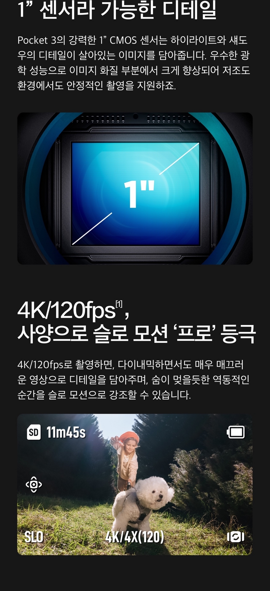 ActiveTrack 6.0 피사체 자동 추적