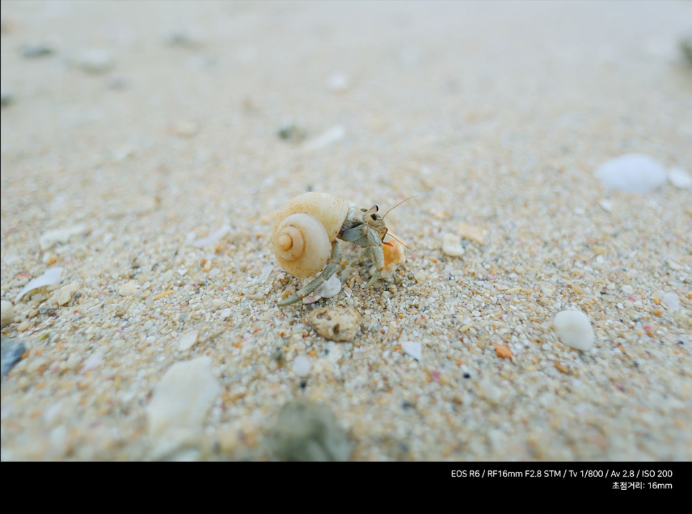 시계 상품상세 이미지-S1L23