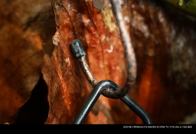 화장품 상품상세 이미지-S7L19