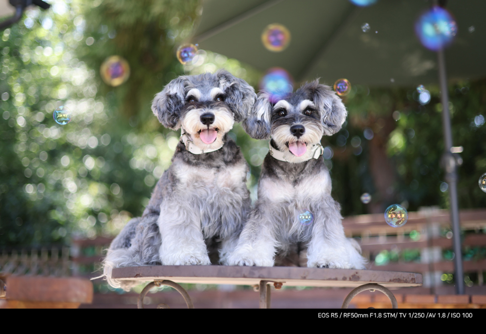 화장품 모델 착용 이미지-S5L20