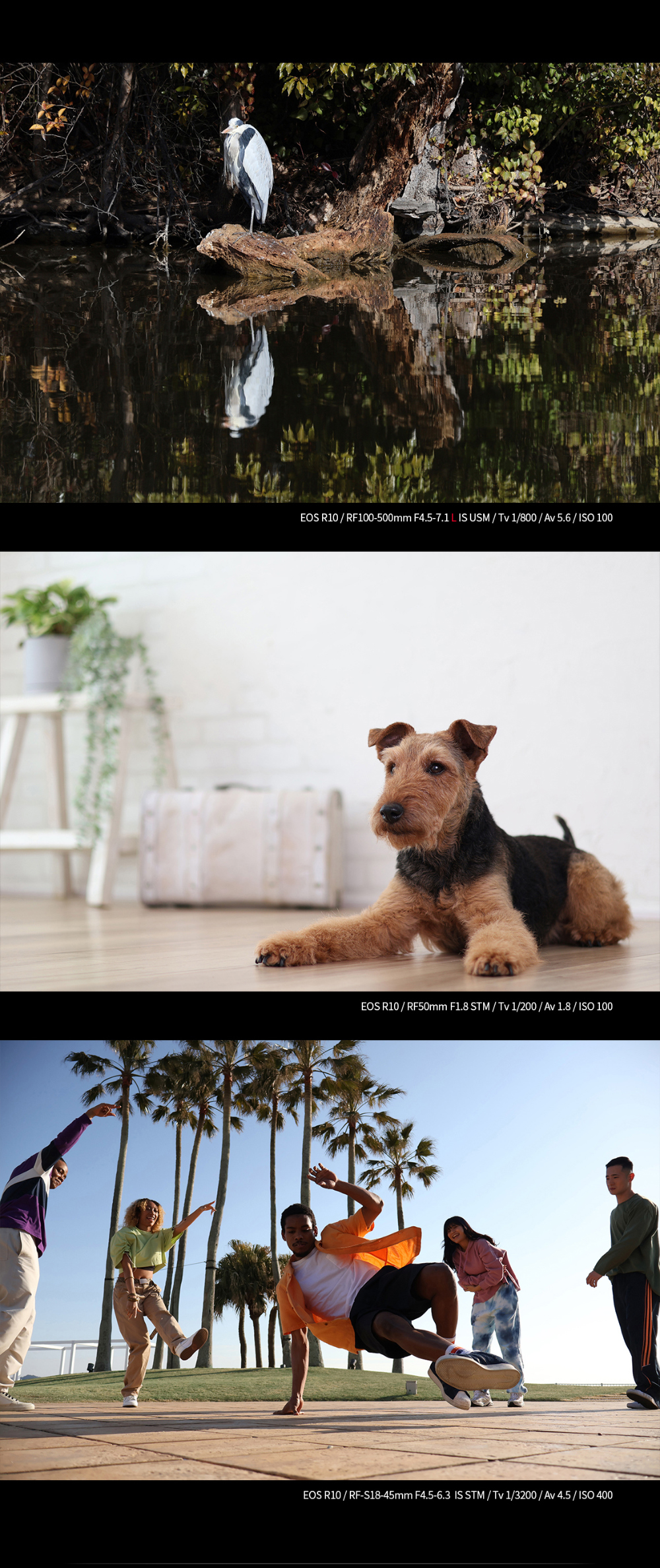 화장품 상품상세 이미지-S7L9