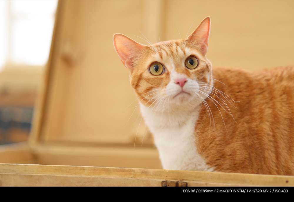 화장품 상품상세 이미지-S7L16