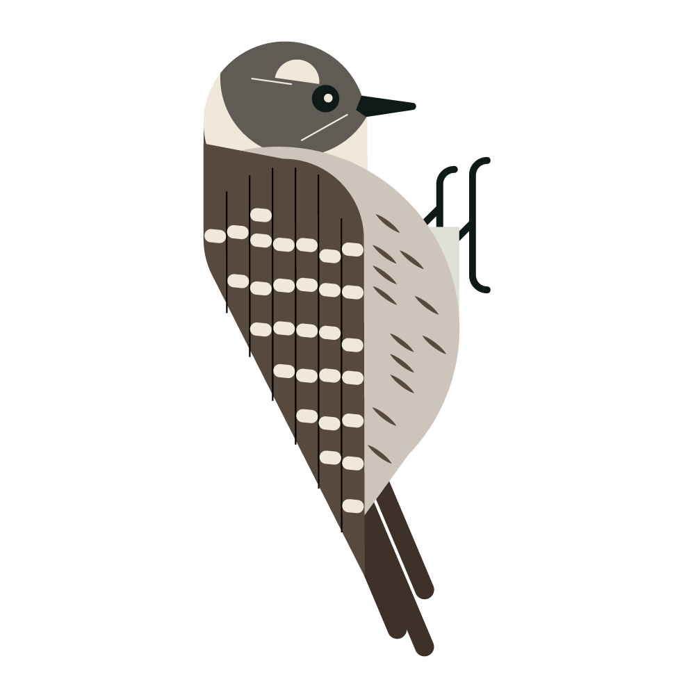 scape and scope, image size:1000x1000