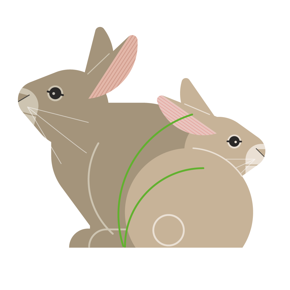 scape and scope, image size:1000x1000