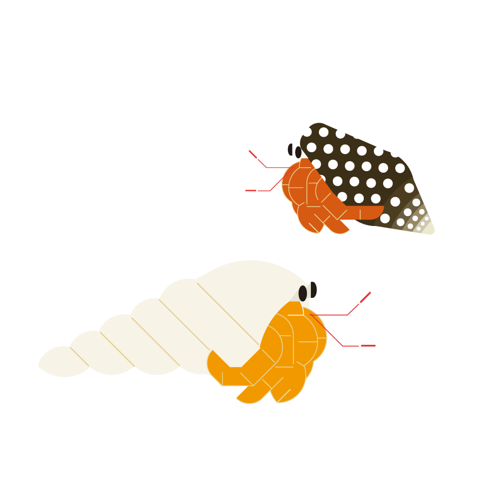 scape and scope, image size:1000x1000