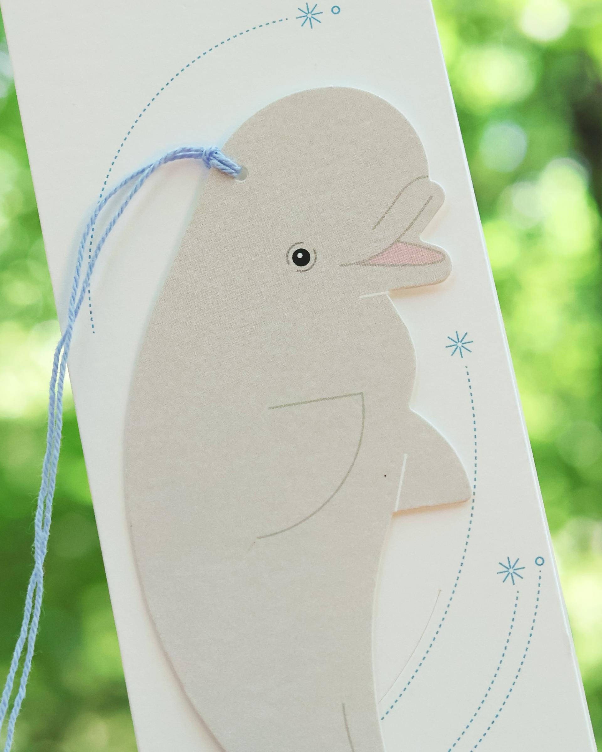 책갈피 카드 / 흰돌고래