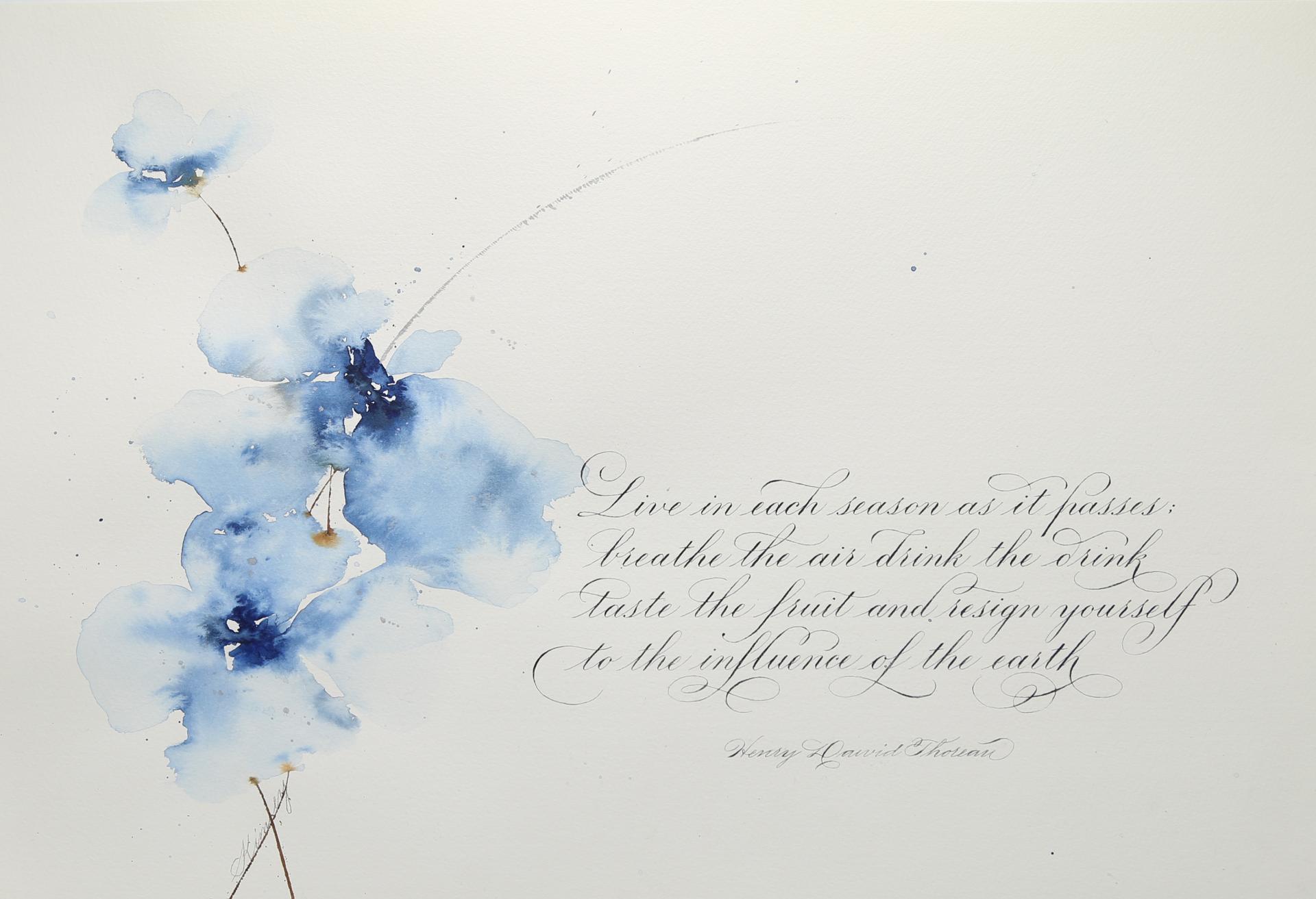 Thoreau's Garden_01.jpg