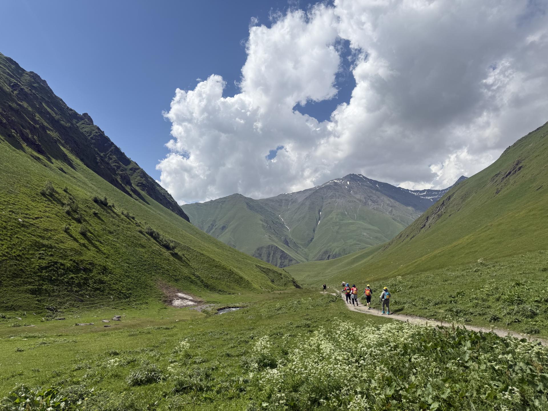 428d457c19bb6.jpg