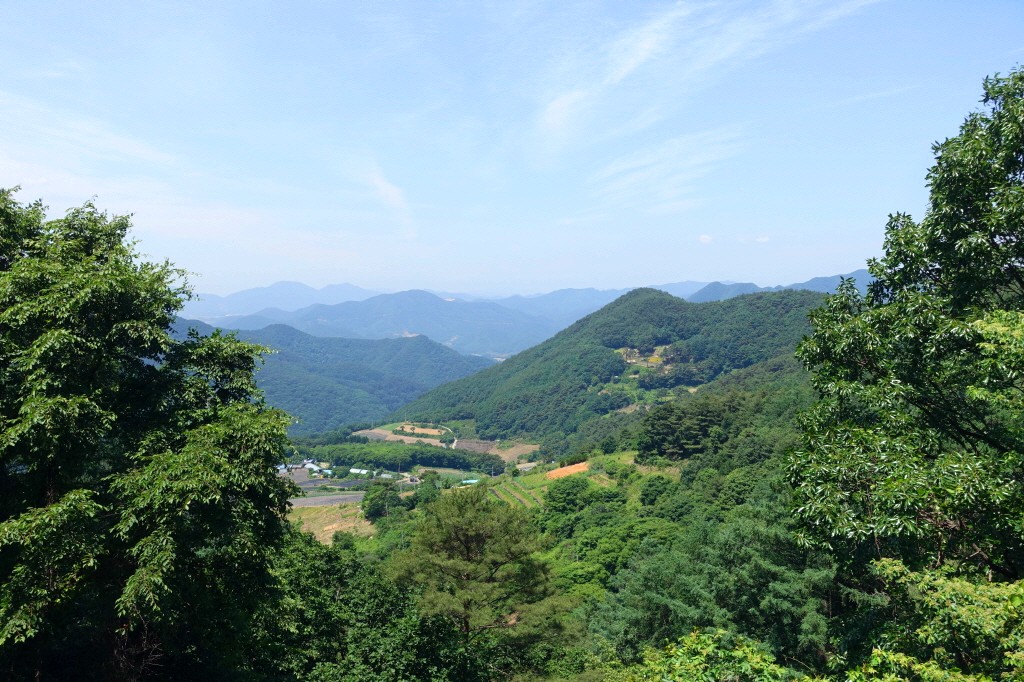 d735cd13ba6f5.jpg