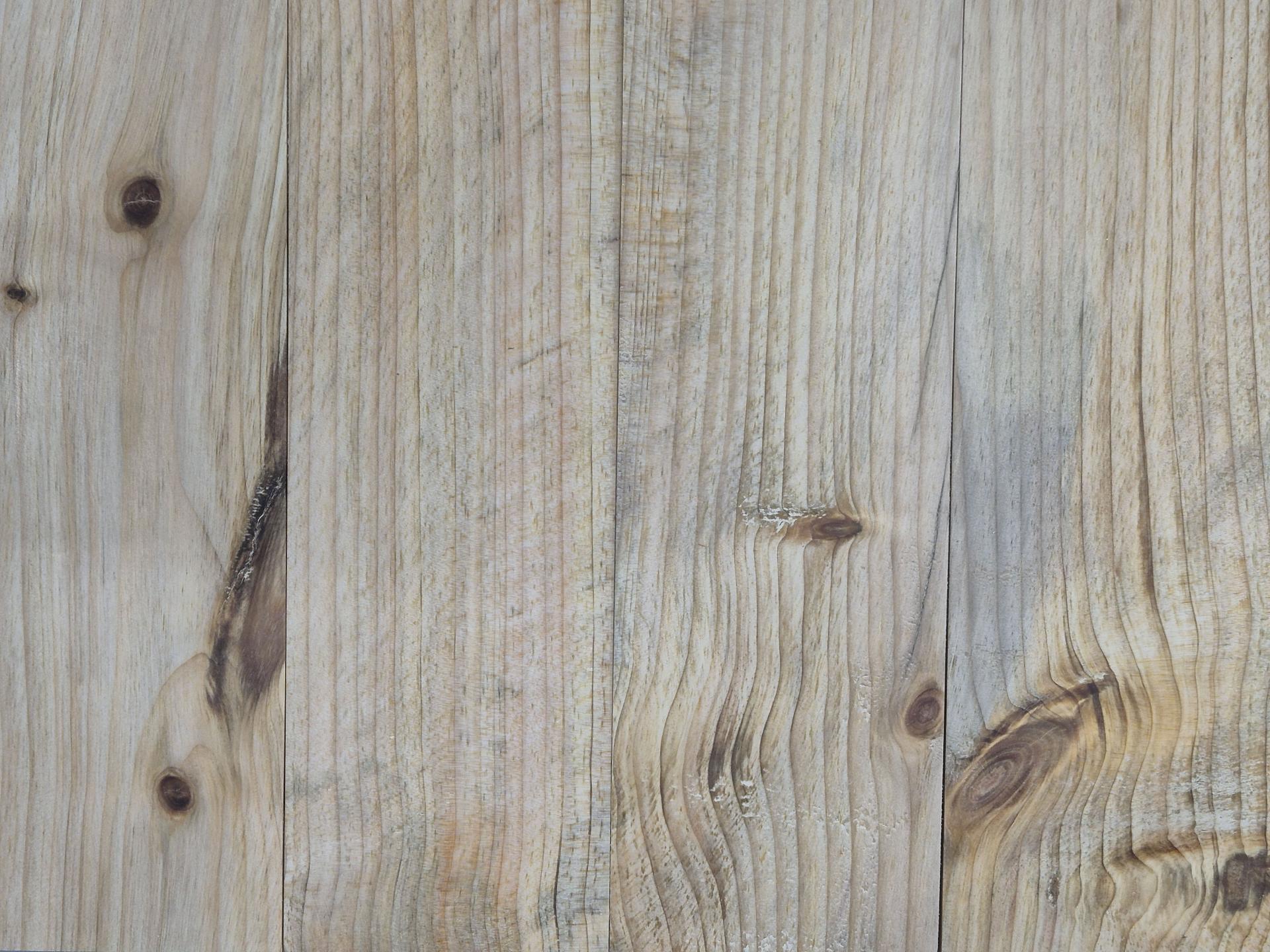53363d233f455.jpg