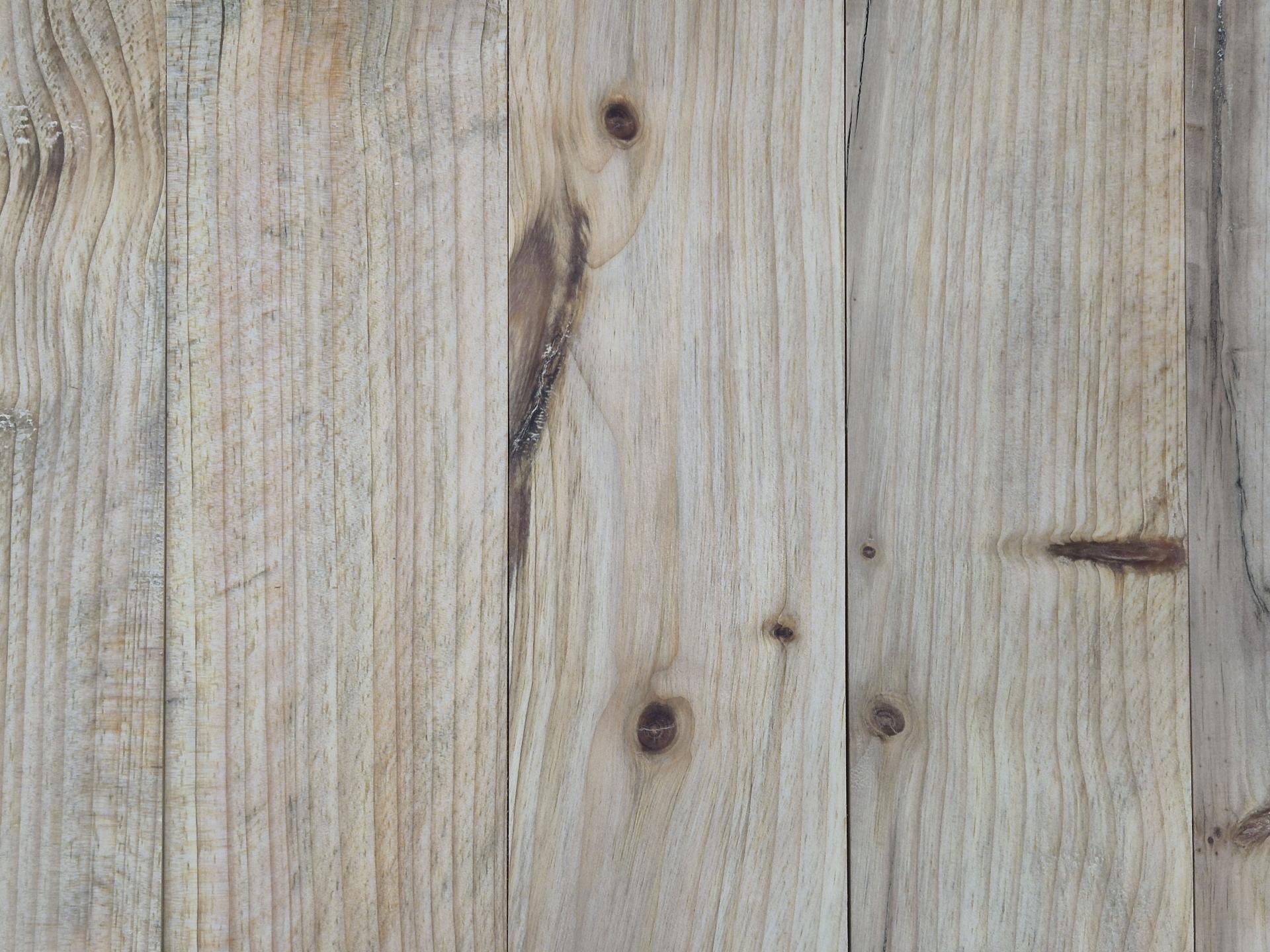 5e943d8b34275.jpg