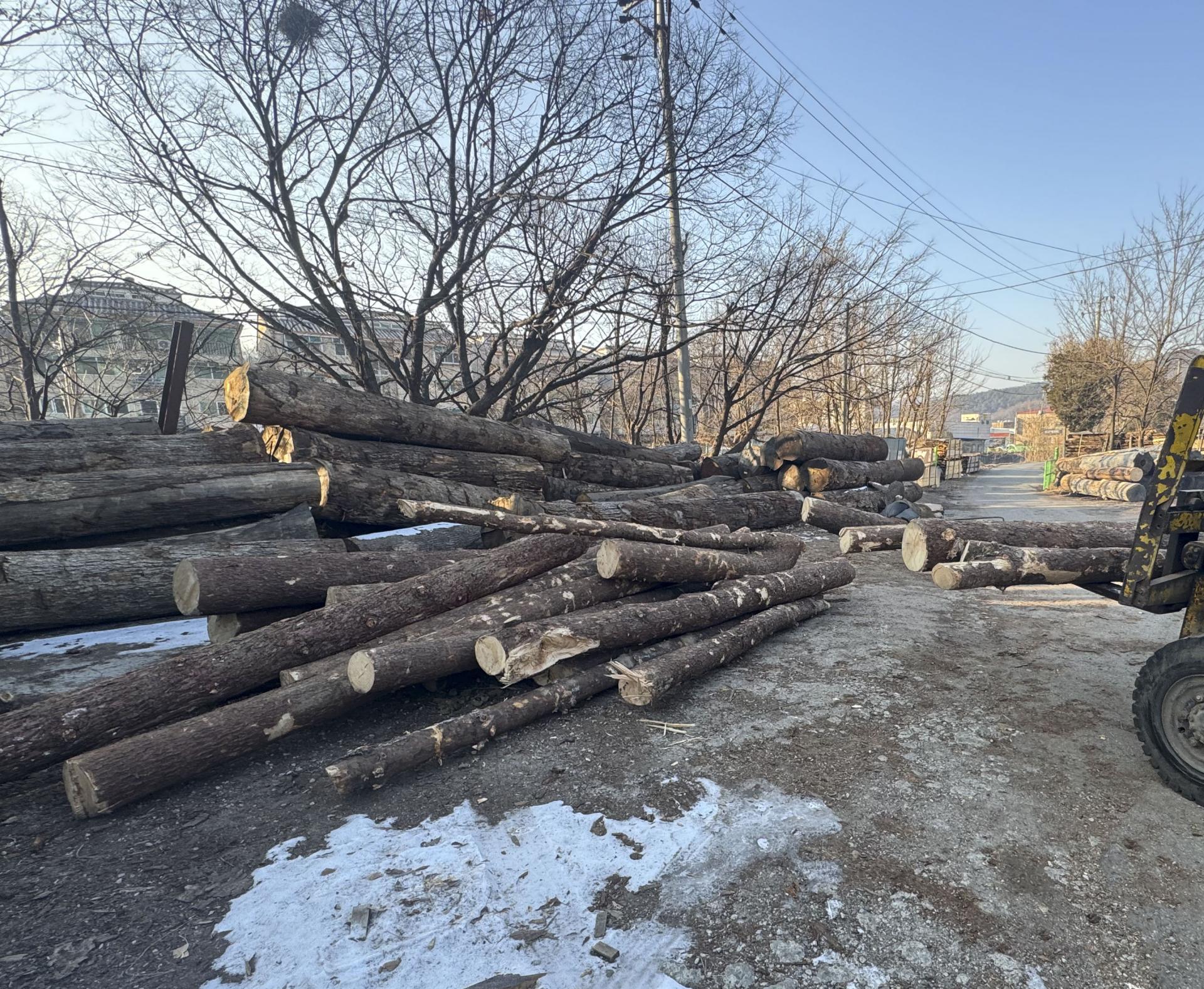 70be04ff335a5.jpg