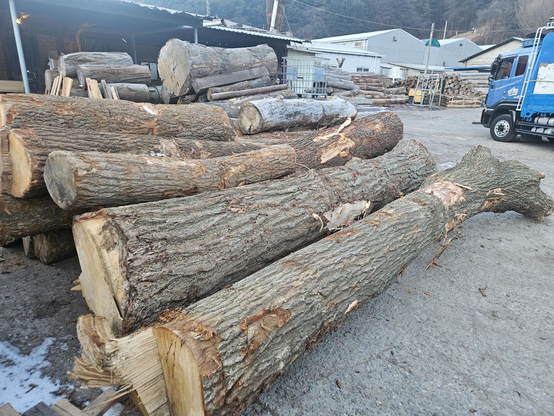 bbd4fe321799e.jpg