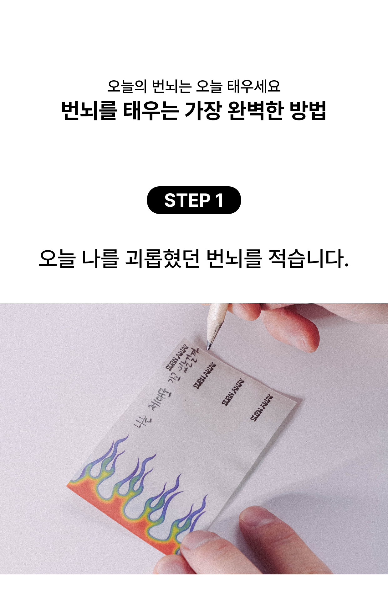낙화 지향
