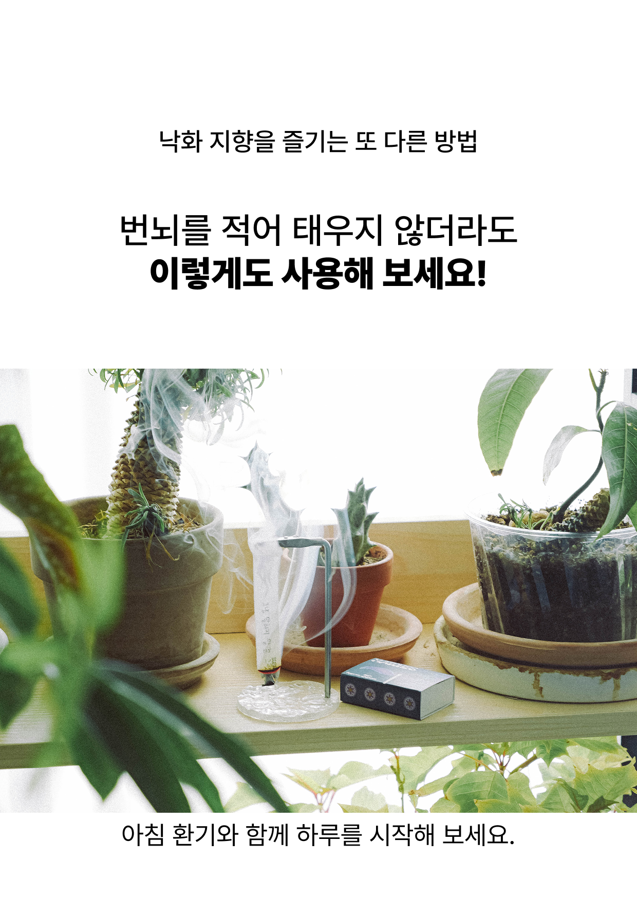 낙화 지향