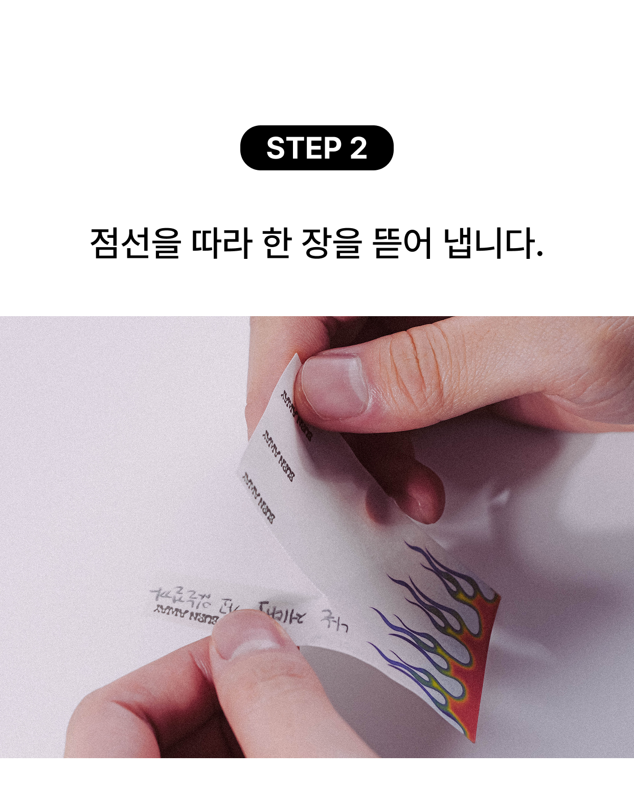 낙화 지향