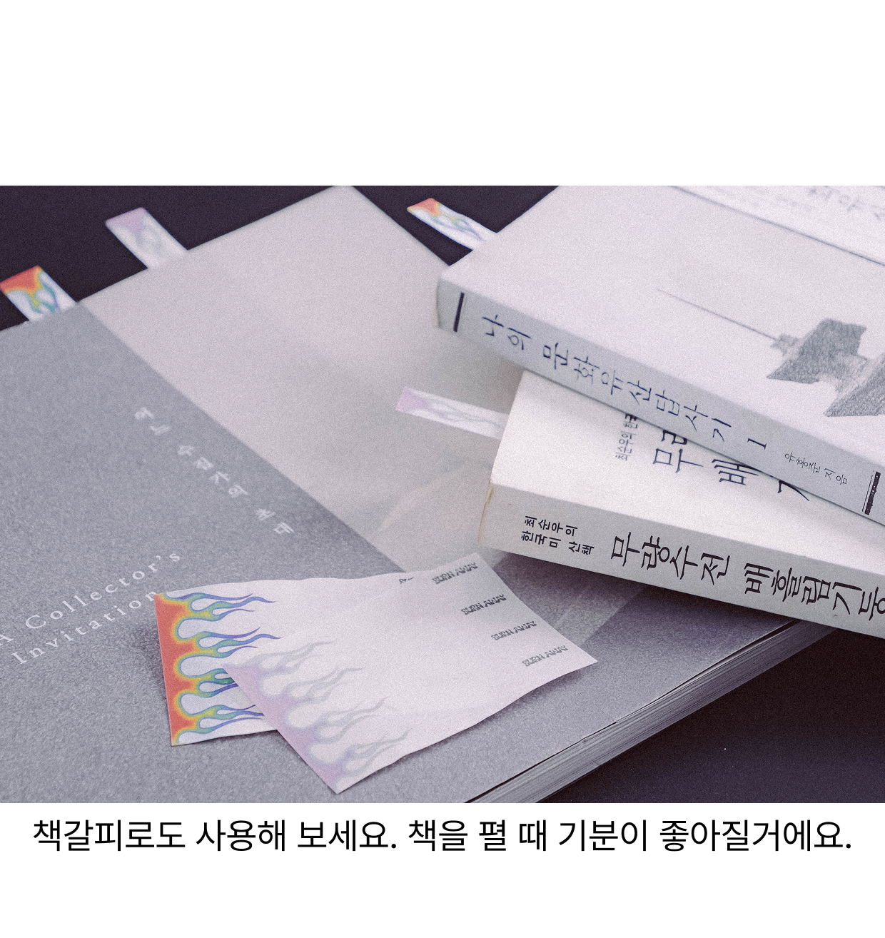 낙화 지향