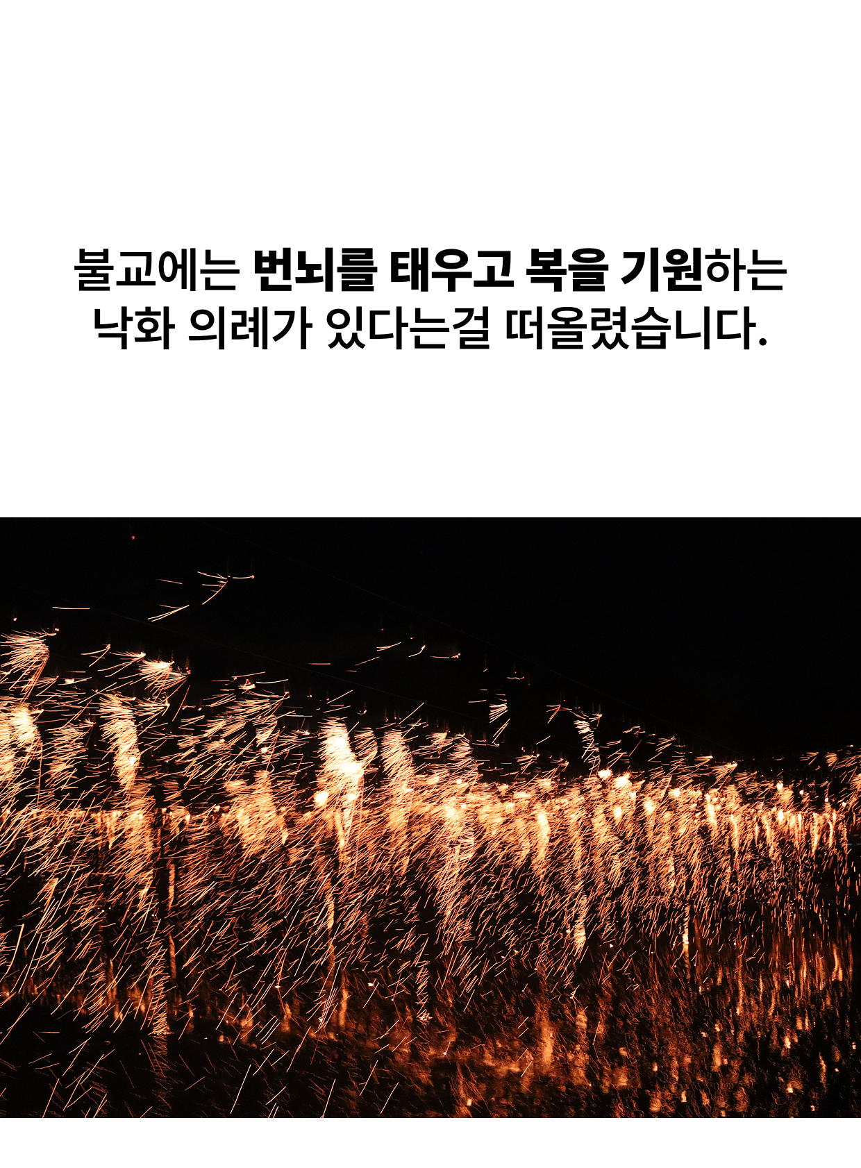 낙화 지향