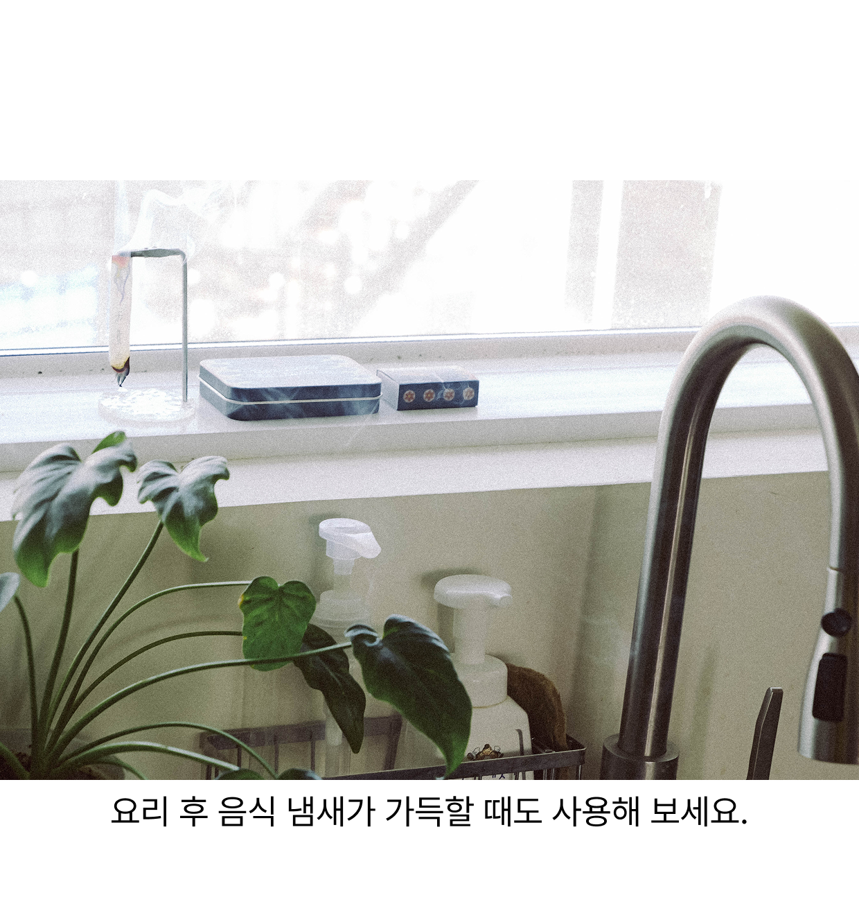 낙화 지향
