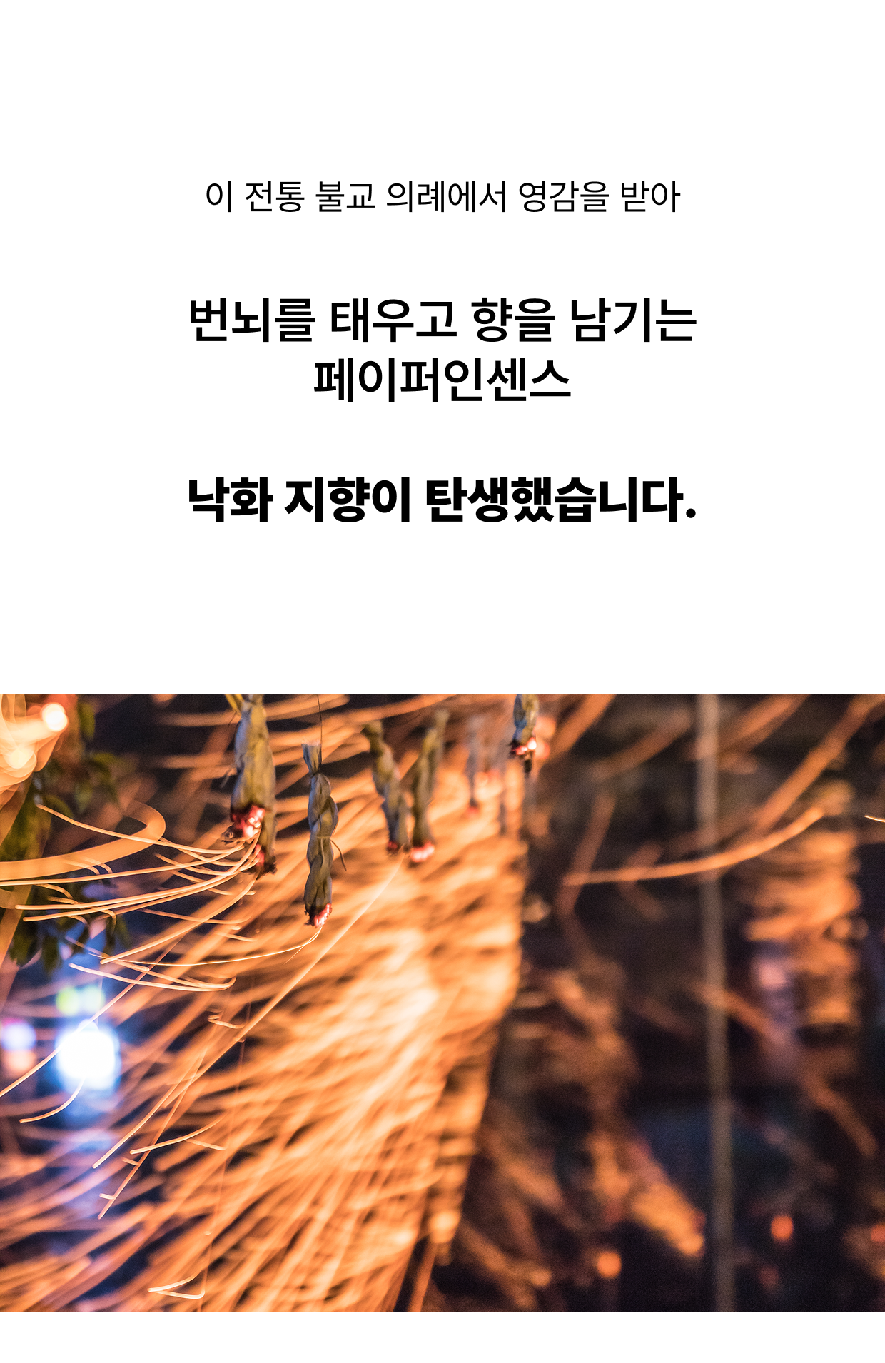 낙화 지향