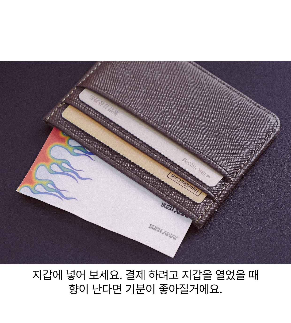 낙화 지향