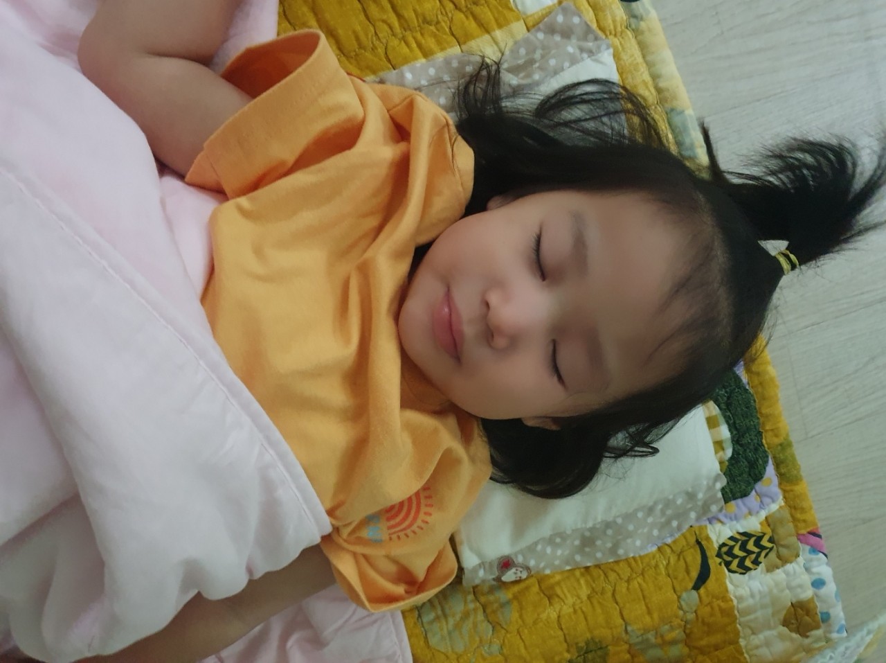 224bd4963203a.jpg