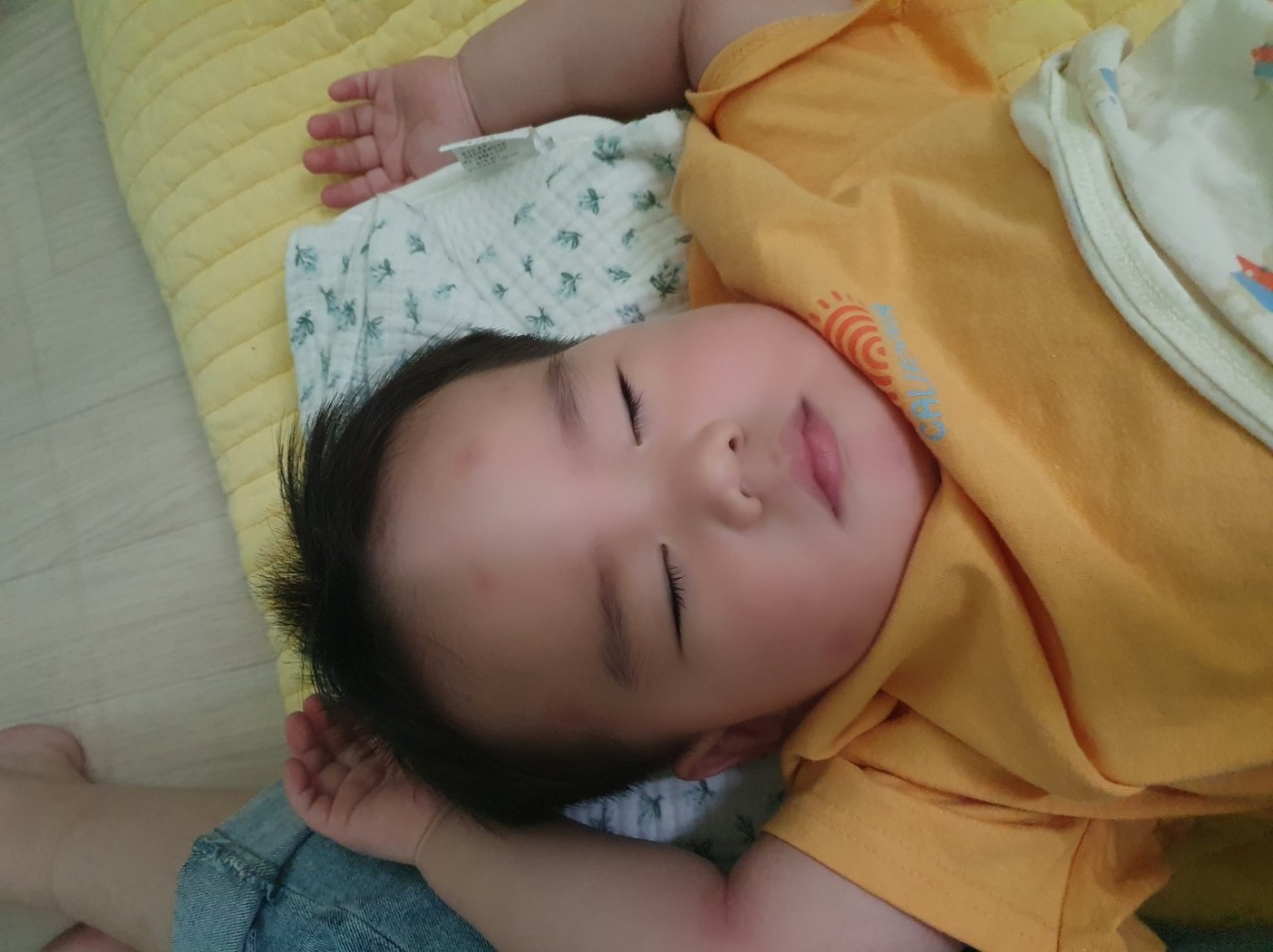 4fb2a818e419d.jpg