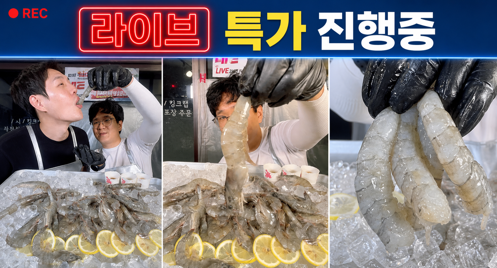 '오픈 특가' 국산 제철 활 흰다리새우 왕새우 1kg