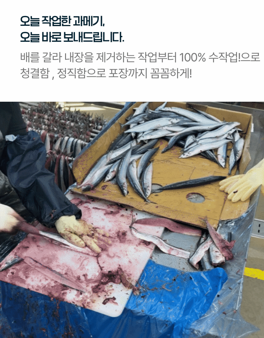 포항 구룡포 프리미엄 과메기 & 수제 수제초장 야채세트