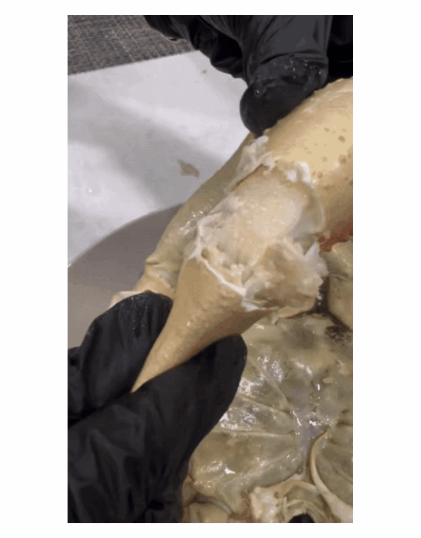 러시아 B급 비품 자숙 대게 3kg(2~4마리)